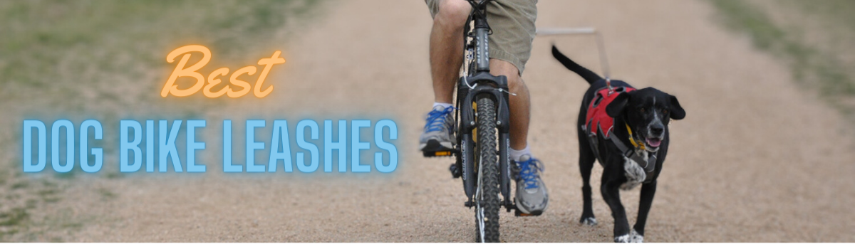 Best Dog Bike Leashes 2023 - 2024