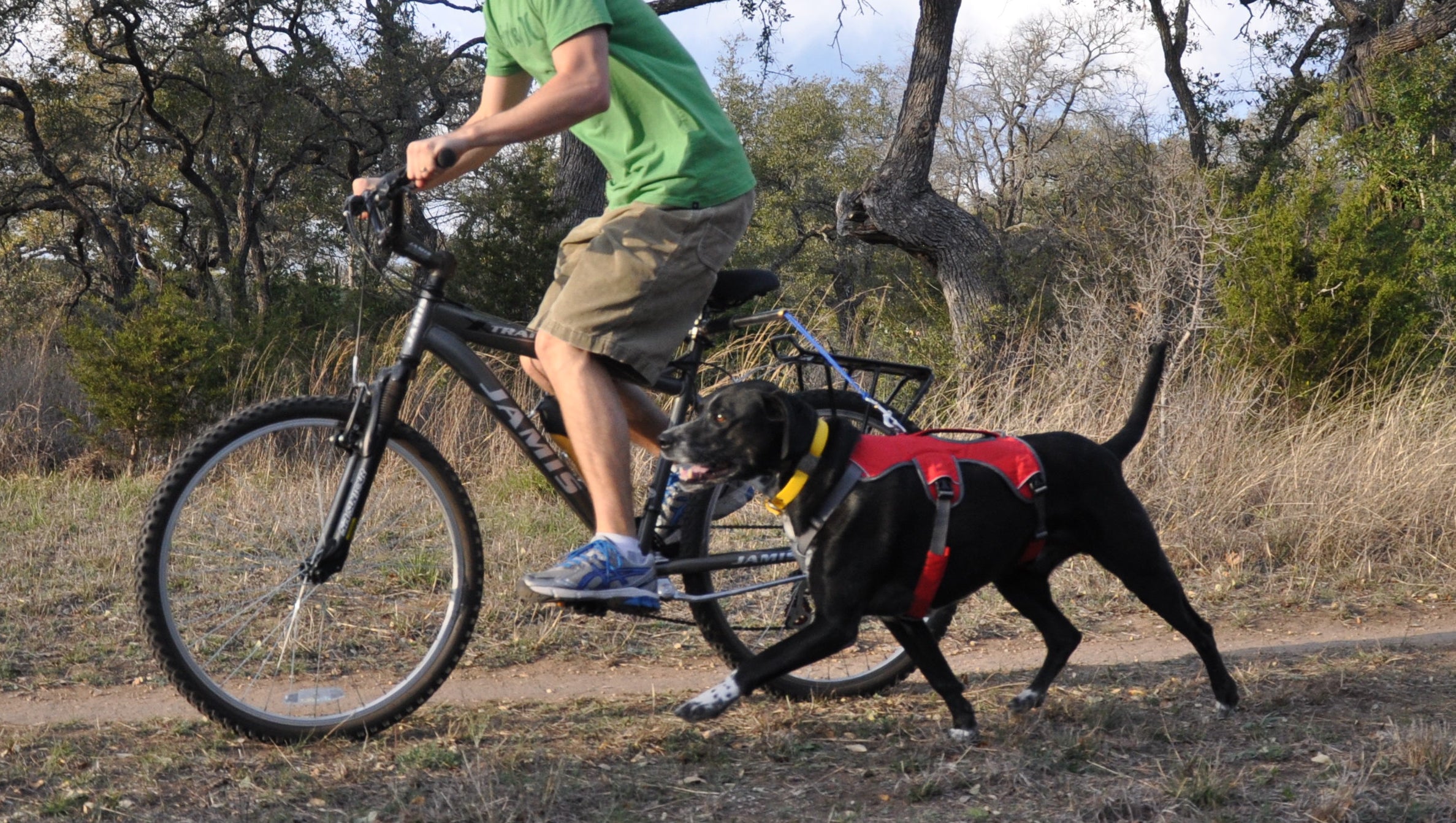 Ride in Style: Biking with Your Pooch using the WalkyDog Bike Leash