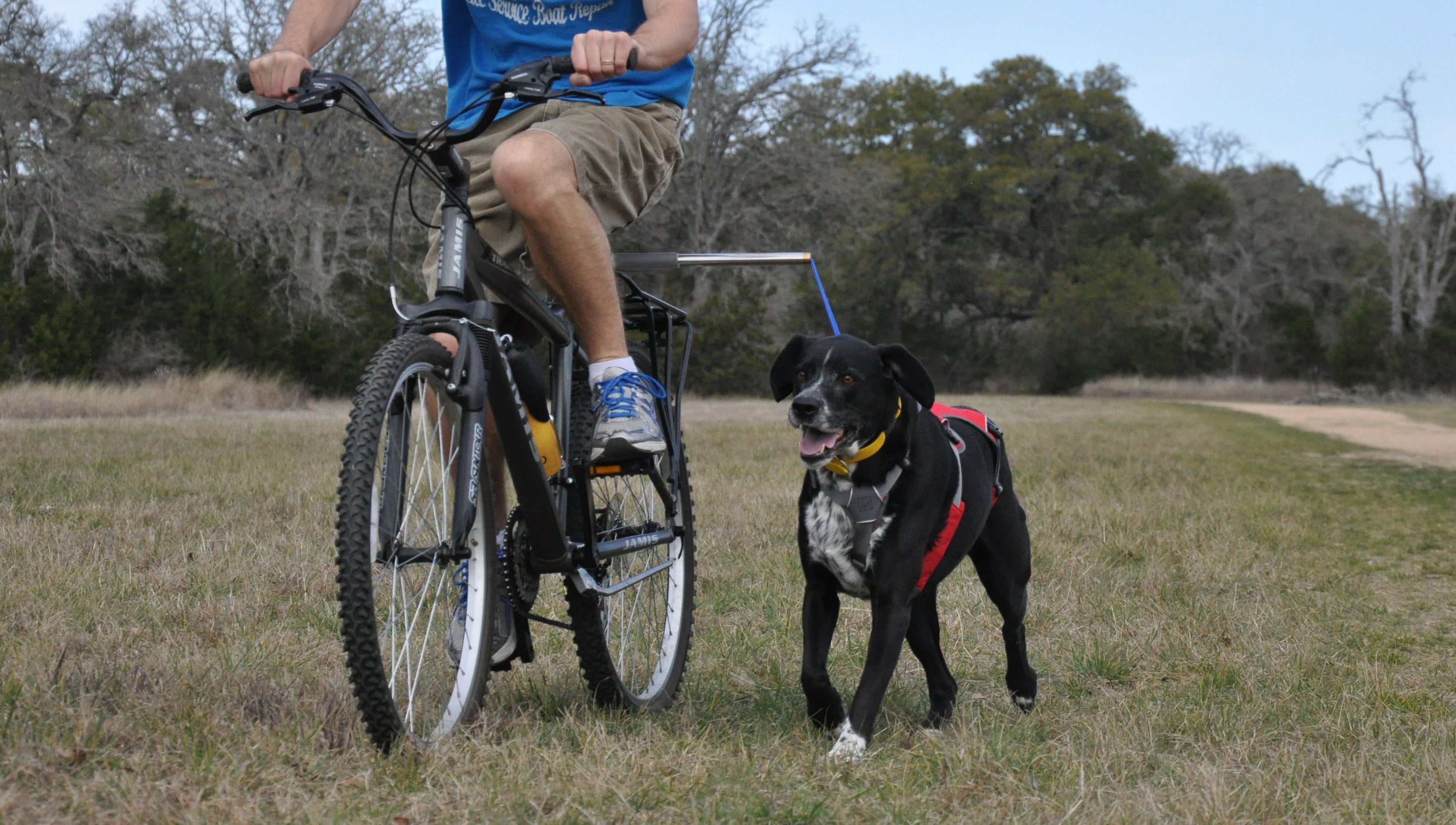 Dog Biking Gear