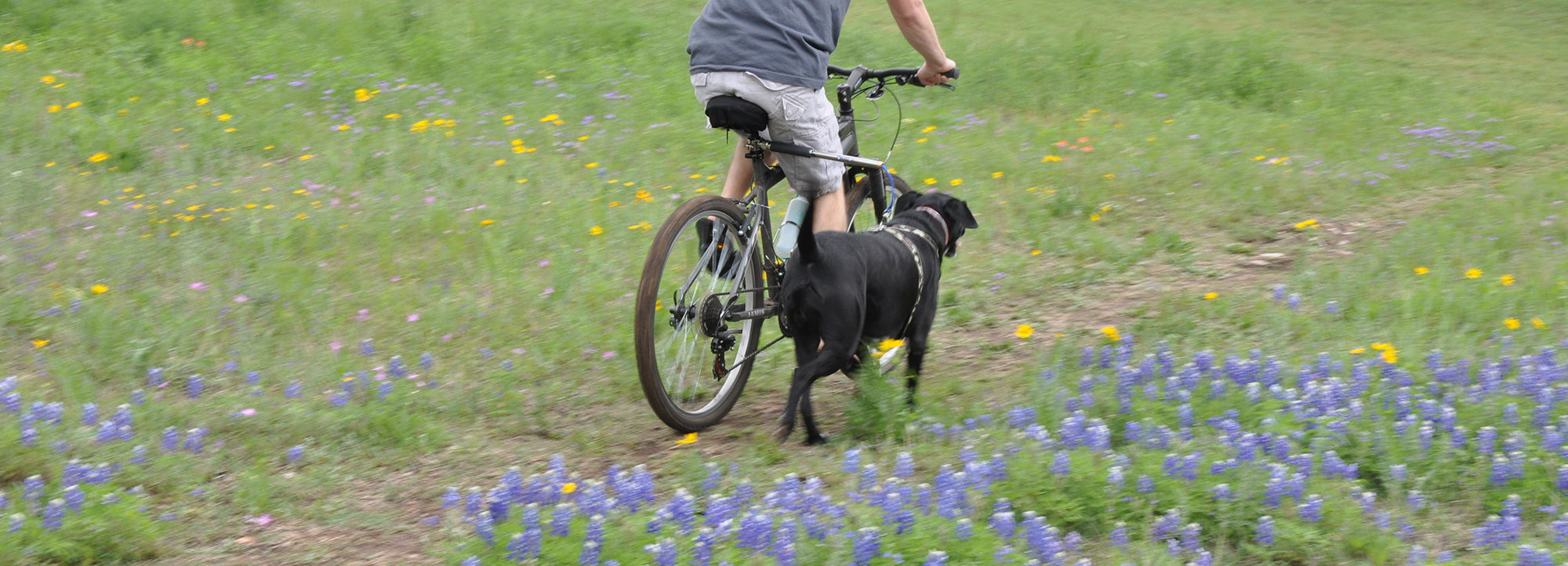 Walky-Dog Plus - die dritte Hand - Fahrradhalter für den Hund 1 St Walky-Dog Plus - die dritte Hand - Fahrradhalter für den Hund 1 St