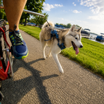 WalkyDog® Plus Dog Bike Leash