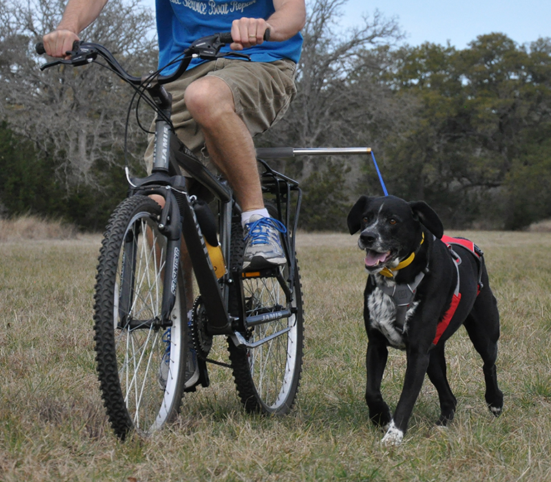 Dog bike harness hot sale