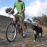 Biking with your dog using WalkyDog bike leash
