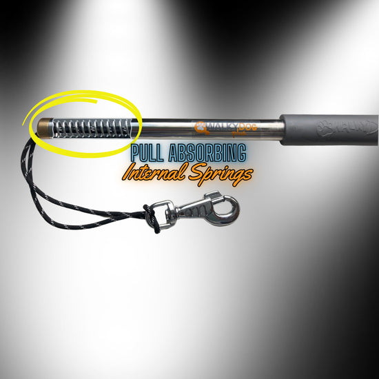WalkyDog® Plus Dog Bike Leash Biking Attachment – Walky Pet Inc.